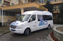 Mercedes Sprinter 316